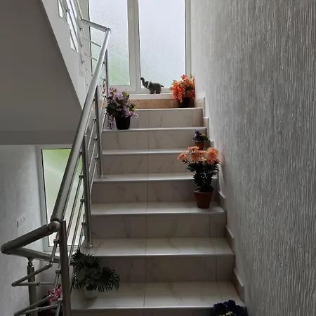 Petrovic Appartement *